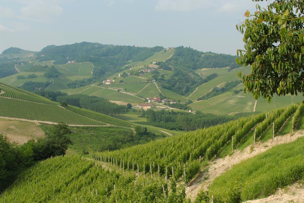 Agriturismo I Grappoli Serralunga d'Alba Cameră foto